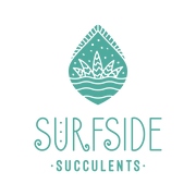 Surfside Succulents
