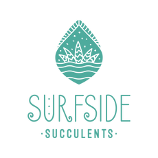 Surfside Succulents
