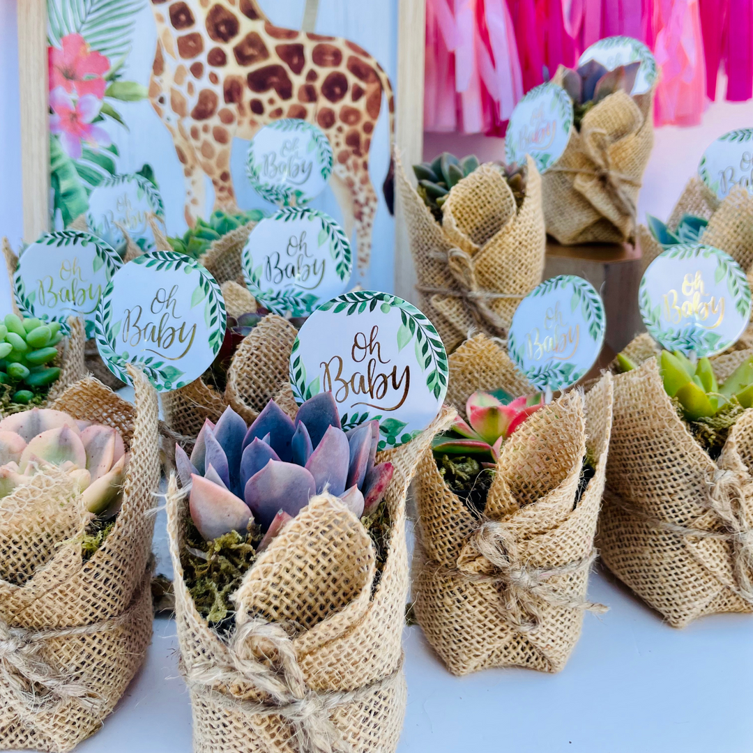 Succulent Favors in Burlap- Baby Shower Favors, Wedding and Party Favors Plus “Oh Baby”
