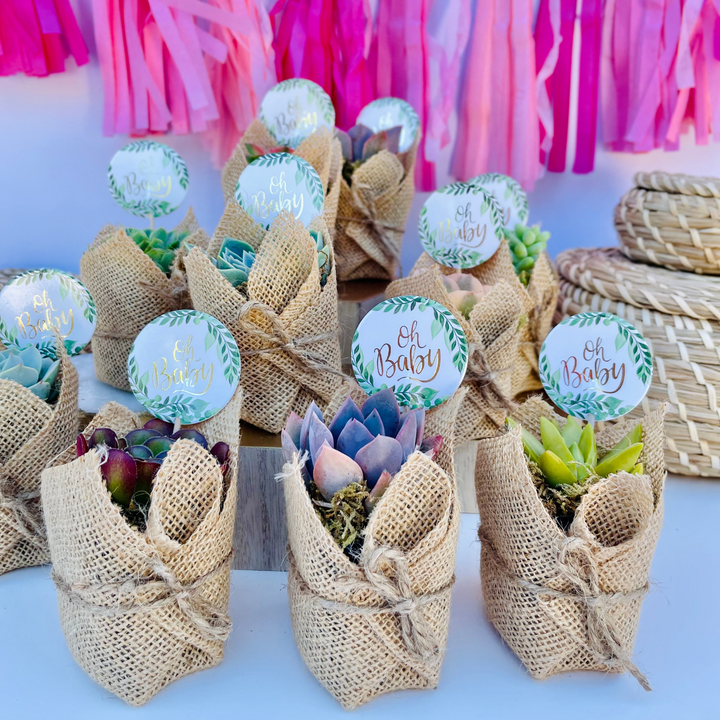 burlap wrapped succulents favors Succulent Favors in Burlap- Baby Shower Favors, Wedding and Party Favo –  Surfside Succulents