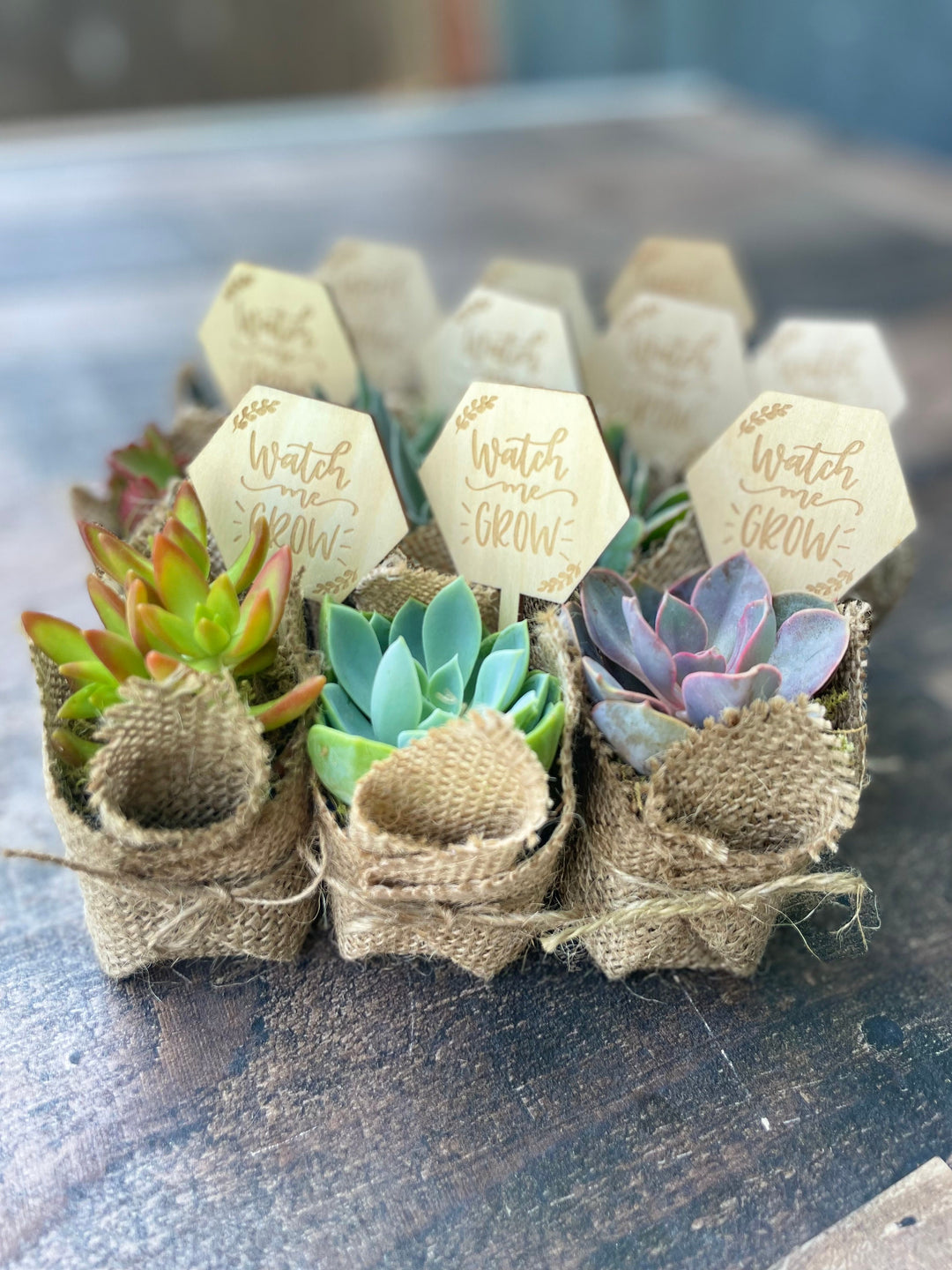 Watch Me Grow Baby Shower Favors