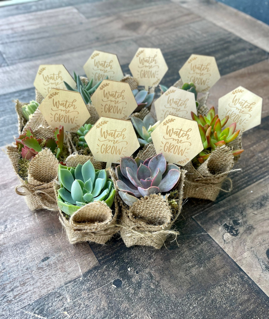 watch me grow succulent tags Watch Me Grow Baby Shower Favors