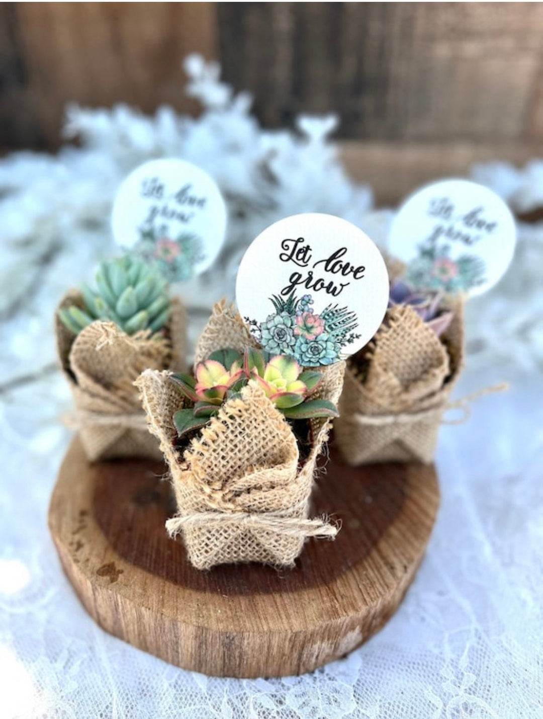 Let Love Grow